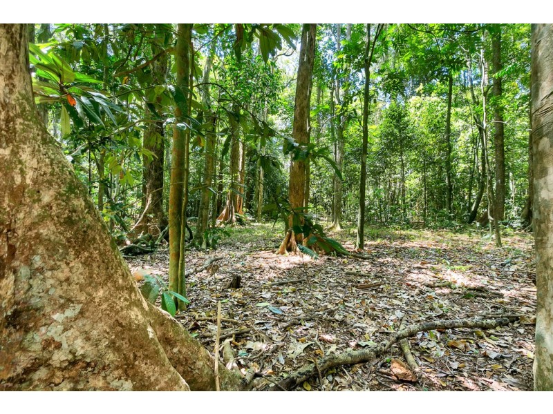 Lots 1, 3, 71 Malanda North, Malanda QLD 4885