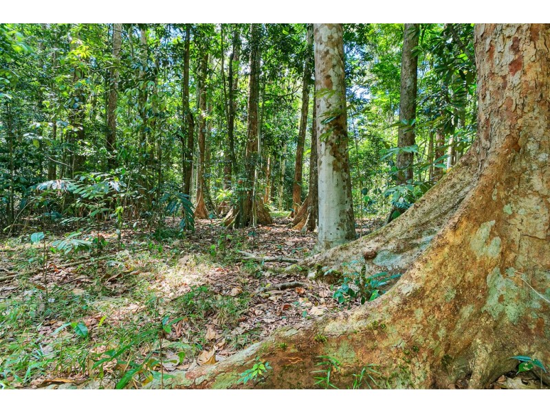 Lots 1, 3, 71 Malanda North, Malanda QLD 4885