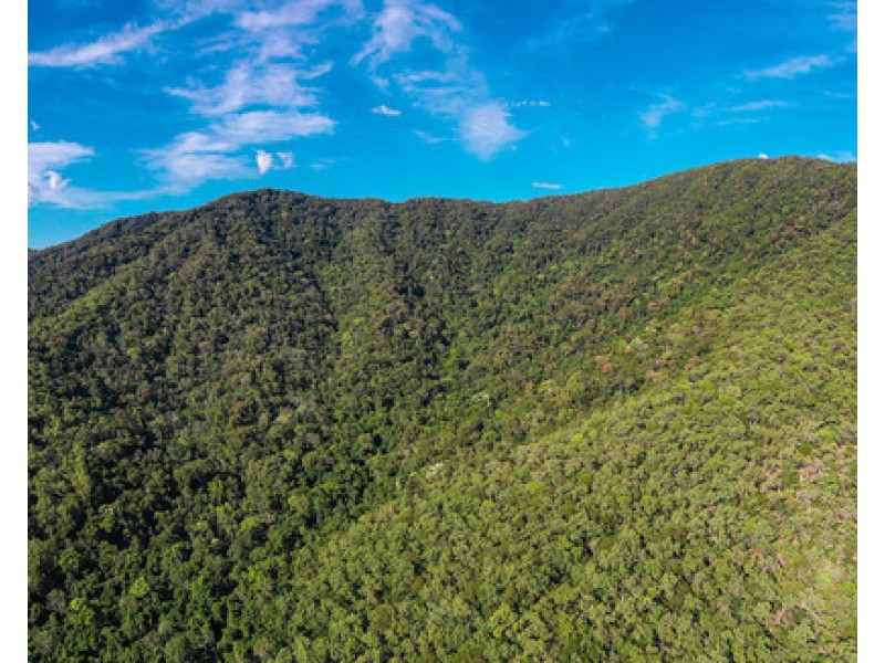 Lot 999 Captain Cook Highway, Clifton Beach QLD 4879