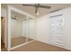 14 Thais Street, Palm Cove QLD 4879