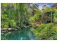 49 Butler Drive, Kuranda QLD 4881