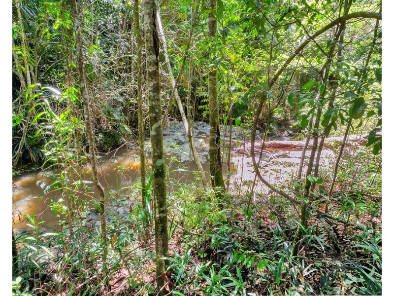 49 Butler Drive, Kuranda QLD 4881