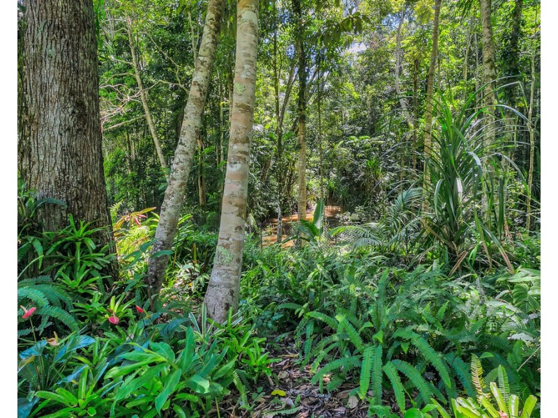 49 Butler Drive, Kuranda QLD 4881