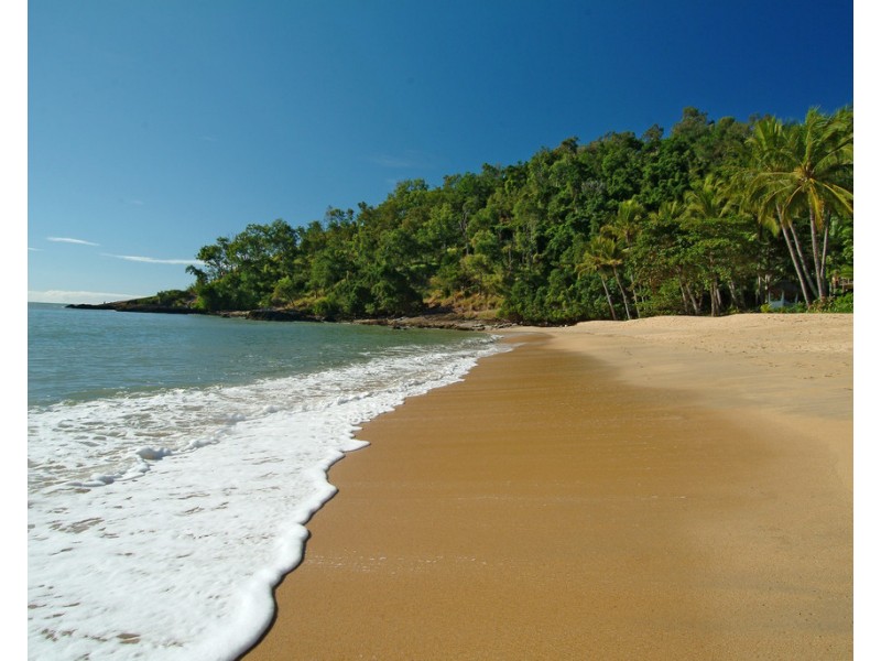 10/31-35 Vasey Esplanade, Trinity Beach QLD 4879