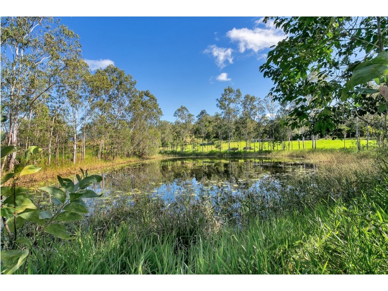 25 Stevens Road, Julatten QLD 4871