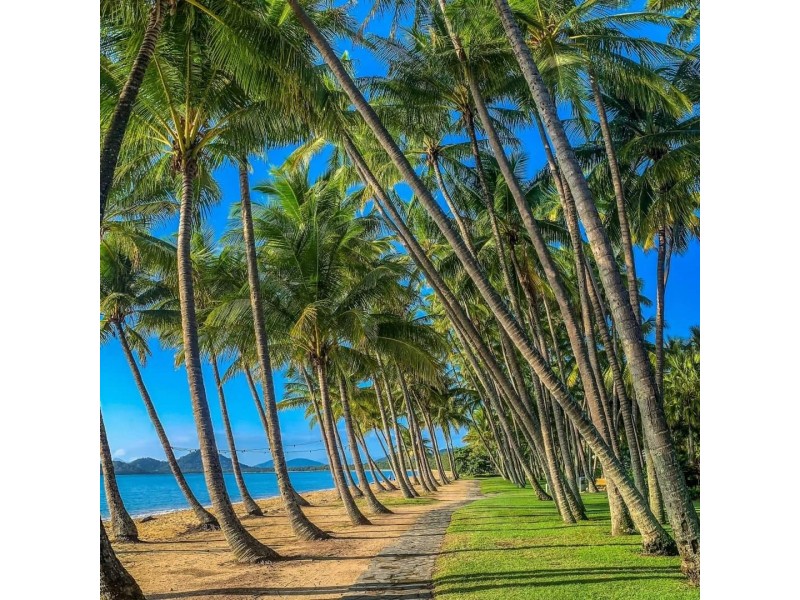 Palm Cove QLD 4879