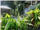 75 Leonard Street, Kewarra Beach QLD 4879