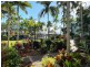 15/65 Vasey Esplanade, Trinity Beach QLD 4879