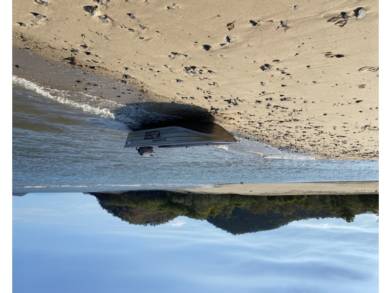 8 Napier Street, Trinity Park QLD 4879