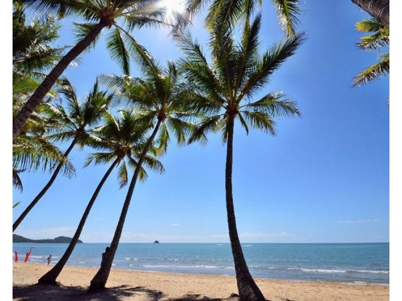 7 Harpa Street, Palm Cove QLD 4879