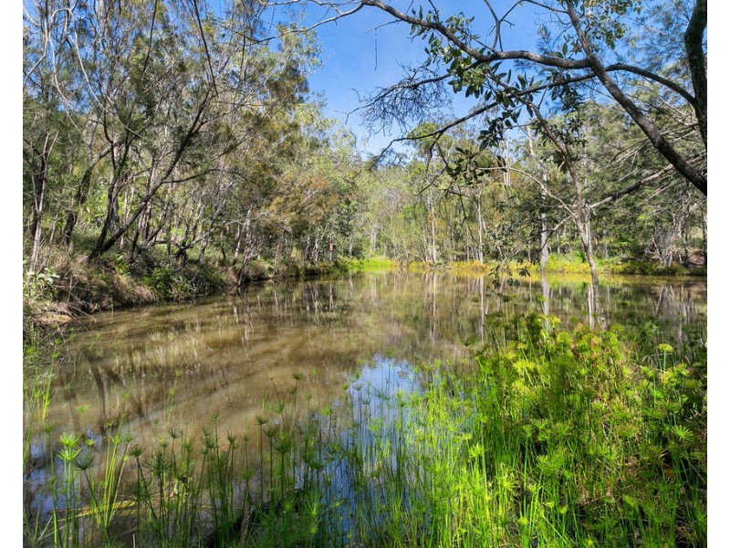 593 Oak Forest Road, Kuranda QLD 4881