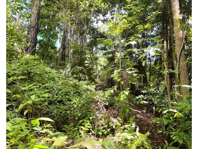 9-11 Thongon Street, Kuranda QLD 4881