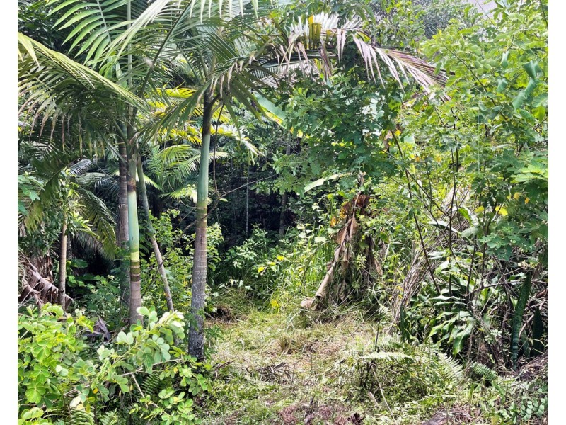 9-11 Thongon Street, Kuranda QLD 4881