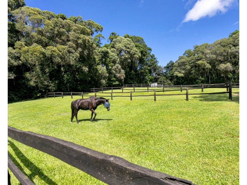 126 Green Forest Road, Kuranda QLD 4881