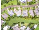 5 Lantana Place, Kewarra Beach QLD 4879