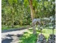 32 Mahogany Avenue, Speewah QLD 4881