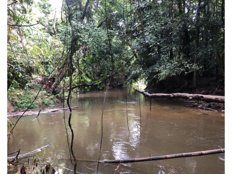 52 Kingfisher Lane, Whyanbeel QLD 4873