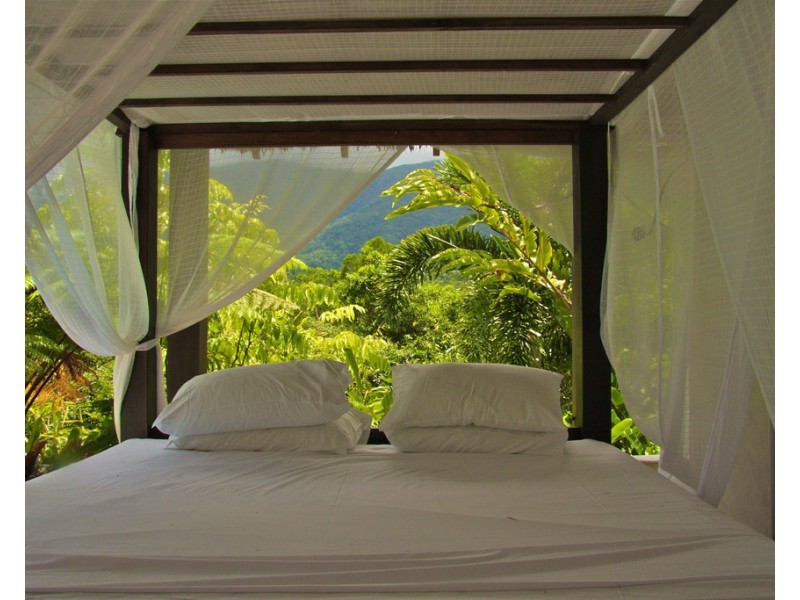 52 Kingfisher Lane, Whyanbeel QLD 4873