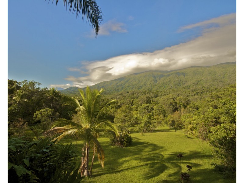 52 Kingfisher Lane, Whyanbeel QLD 4873