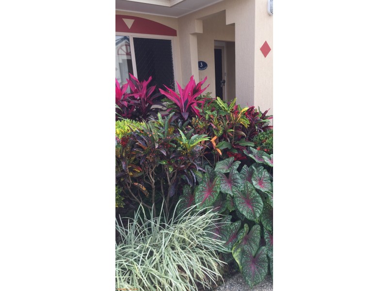 3/2-4 Oyster Court, Trinity Beach QLD 4879