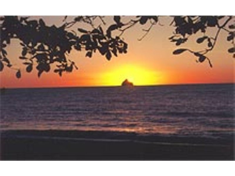 3436/123 Williams Esplanade, Palm Cove QLD 4879