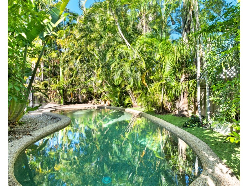3 Oliva Street, Palm Cove QLD 4879