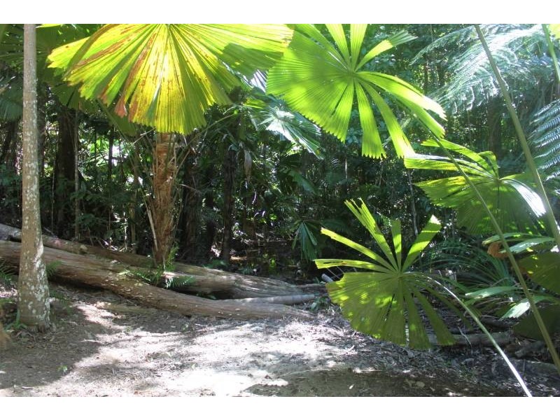 21 Salamone Drive, Kuranda QLD 4881