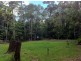 Kuranda QLD 4881
