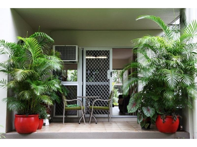 Trinity Beach QLD 4879