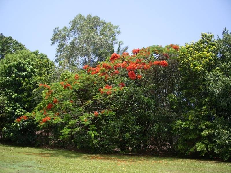 Kewarra Beach QLD 4879