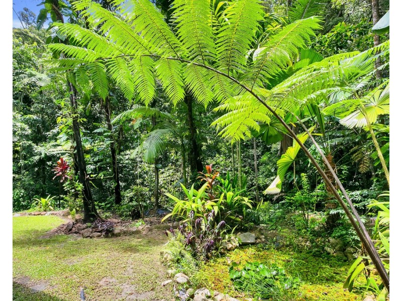 19 Kuranda Crescent, Kuranda QLD 4881