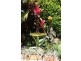 9 Sago Close, Palm Cove QLD 4879