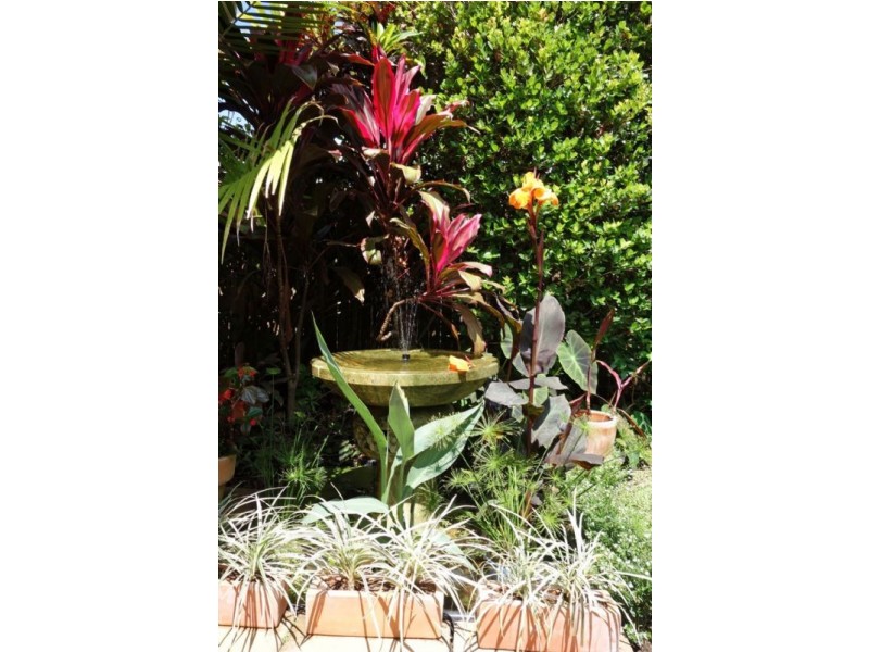 9 Sago Close, Palm Cove QLD 4879