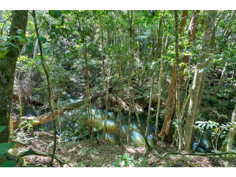 45 Douglas Track, Speewah QLD 4881