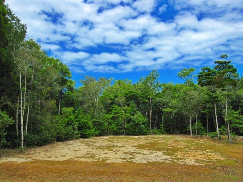 Palm Cove QLD 4879