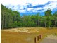 Palm Cove QLD 4879
