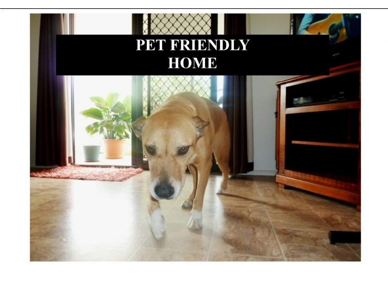 94 Reed Road, Trinity Park QLD 4879