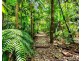 2 Butler Drive, Kuranda QLD 4881