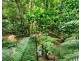 2 Butler Drive, Kuranda QLD 4881