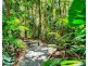 2 Butler Drive, Kuranda QLD 4881