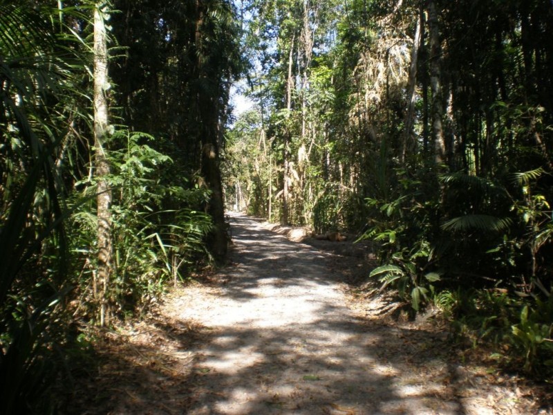 Kuranda QLD 4881