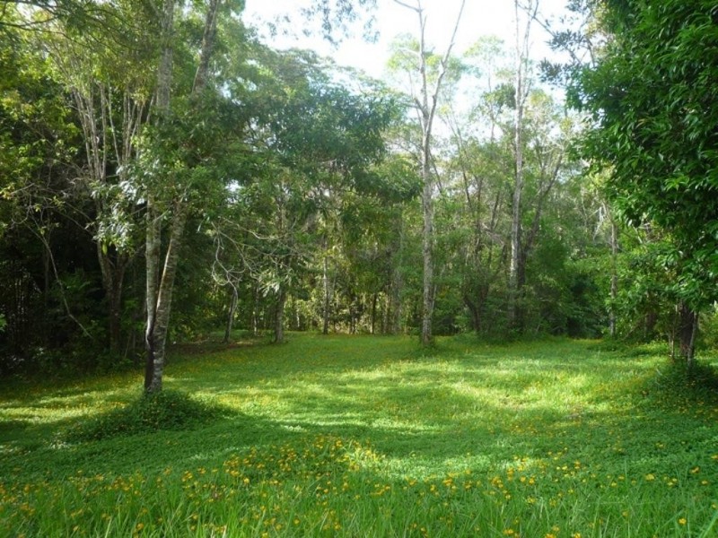 Kuranda QLD 4881