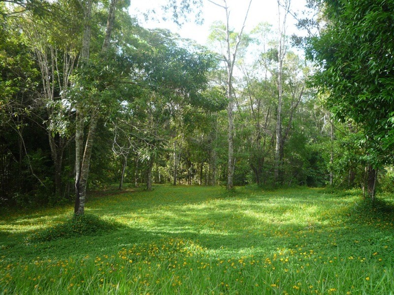 Kuranda QLD 4881
