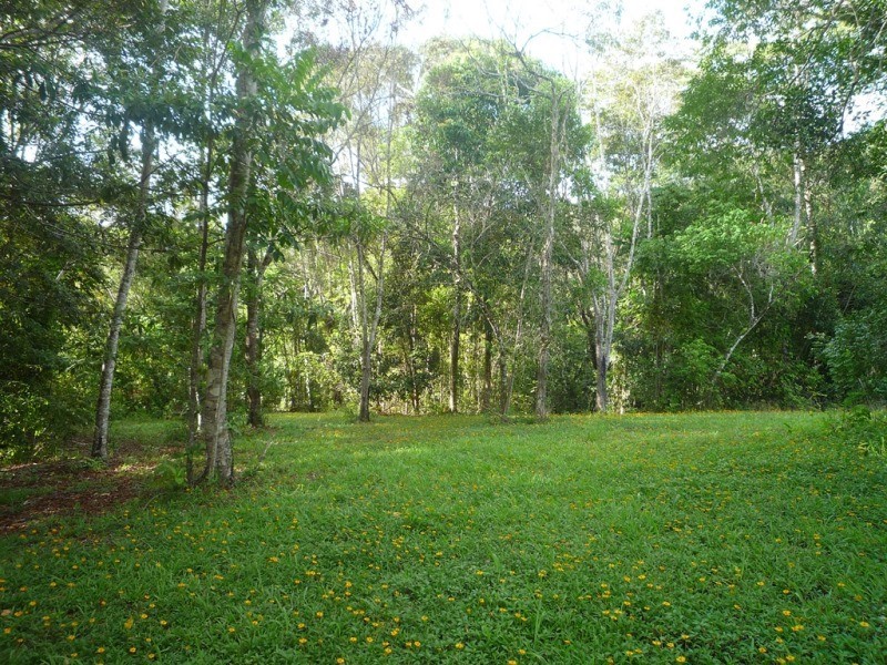 Kuranda QLD 4881