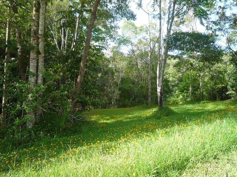 Kuranda QLD 4881