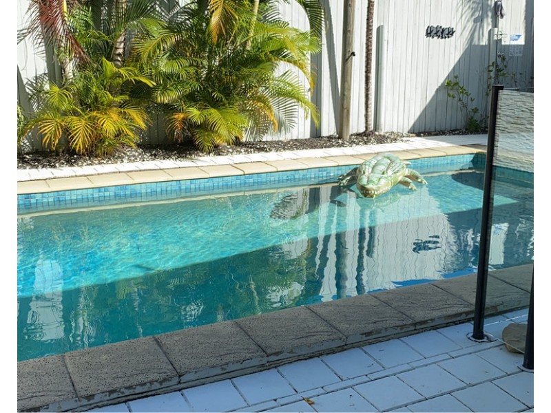 5 Palmetto Street, Palm Cove QLD 4879