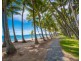 5 Palmetto Street, Palm Cove QLD 4879