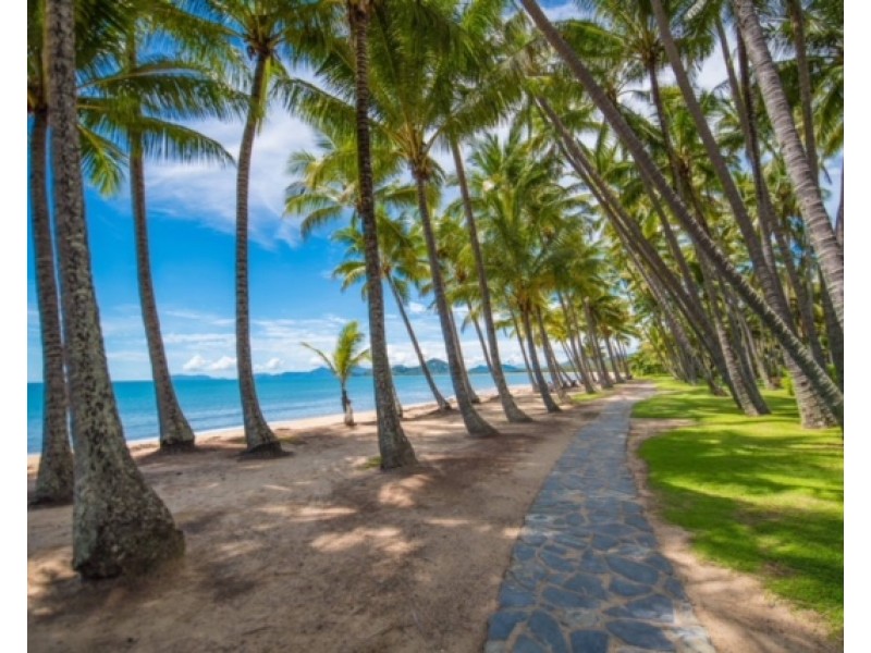 5 Palmetto Street, Palm Cove QLD 4879