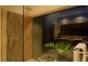 20 Port Close, Trinity Beach QLD 4879