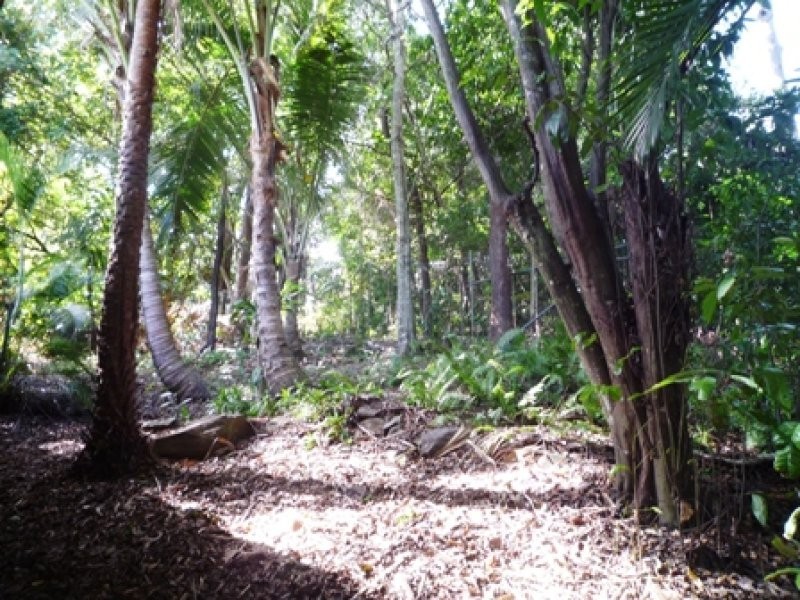 Trinity Beach QLD 4879